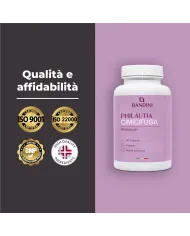 Cimicifuga - 60 capsule